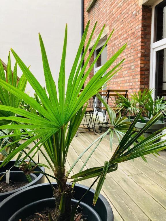Bnb Suikernest Antwerpen Exteriör bild